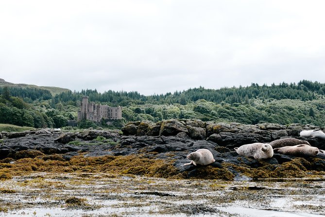 3-Day Isle of Skye, 'Hogwarts Express' Train and Highlands Tour - How the transport and guiding affect the experience