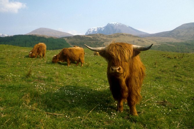 3-Day Isle of Skye, 'Hogwarts Express' Train and Highlands Tour - Who should book this trip?