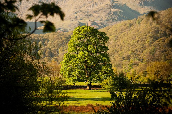 3-Day Lake District Explorer Small-Group Tour from Edinburgh - Borrowdale, Derwent Water, and the journey north