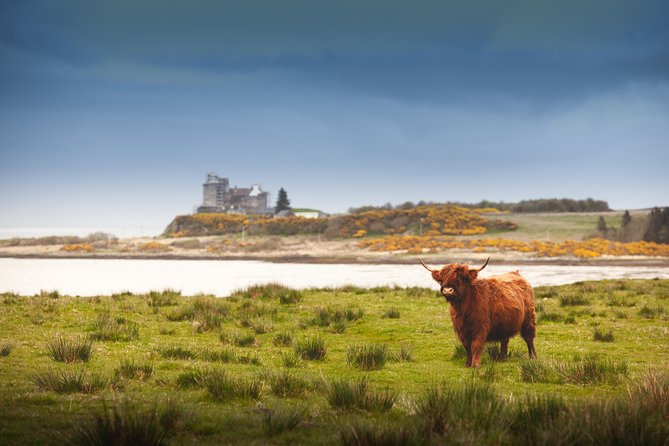 4-Day Magical Mull, Iona & West Highlands Small-Group Tour from Edinburgh - Who will enjoy this Mull tour most
