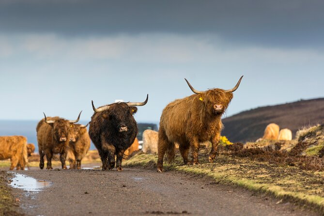 8 Day Isle of Skye, Orkney & North Coast 500 tour from Edinburgh - A grand circuit from Edinburgh