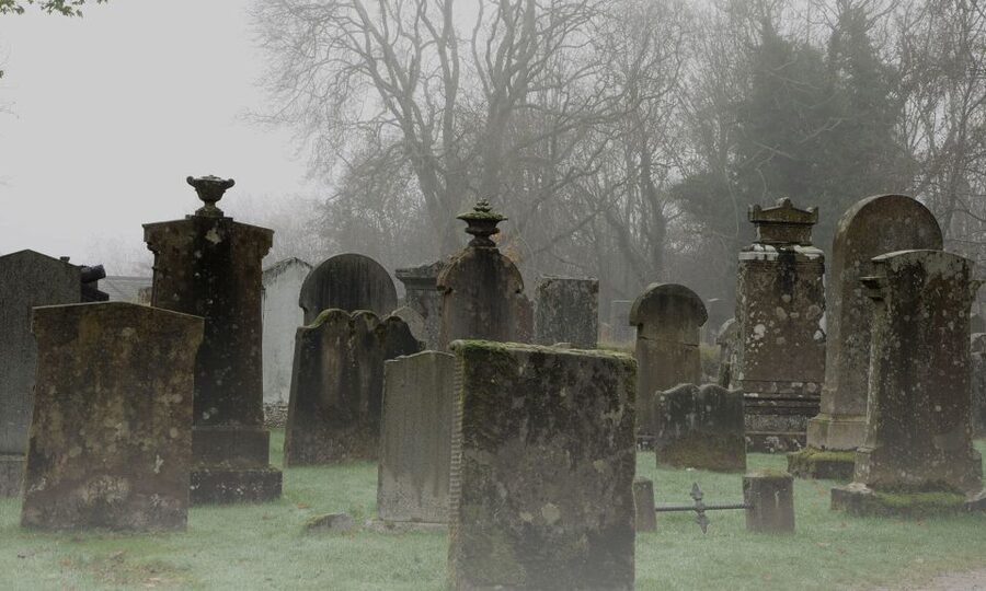 Edinburgh: 2-Hour Ghost Tour in Spanish - Who will enjoy this Edinburgh ghost tour