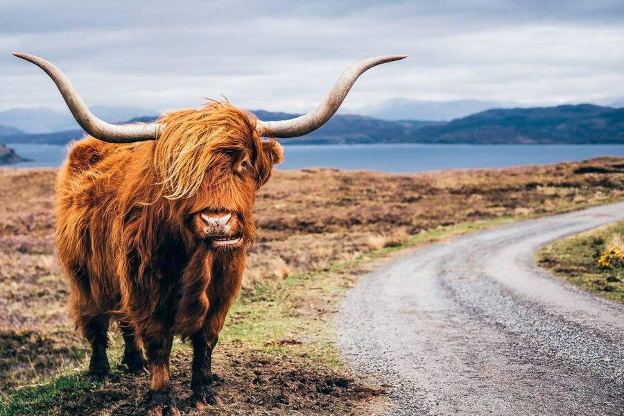 Edinburgh: 3-Day Isle of Skye, Highlands, and Loch Ness Tour - Key points at a glance