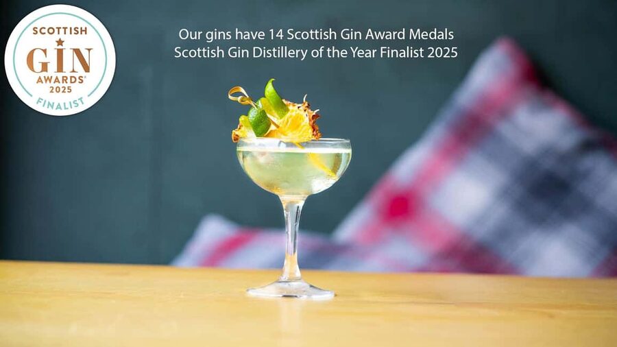 Edinburgh: Guided Gin Tasting at 56 North Distillery - The gin lesson: botanicals, stills, and bottling