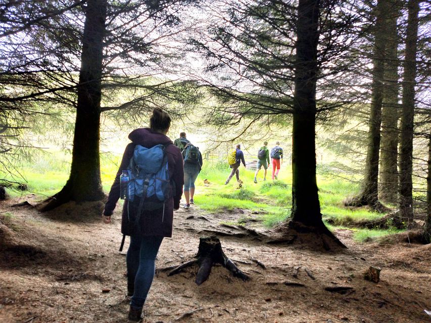 Edinburgh: Hill & Nature Hike With a Local - Learning the Pentlands, not just walking through them