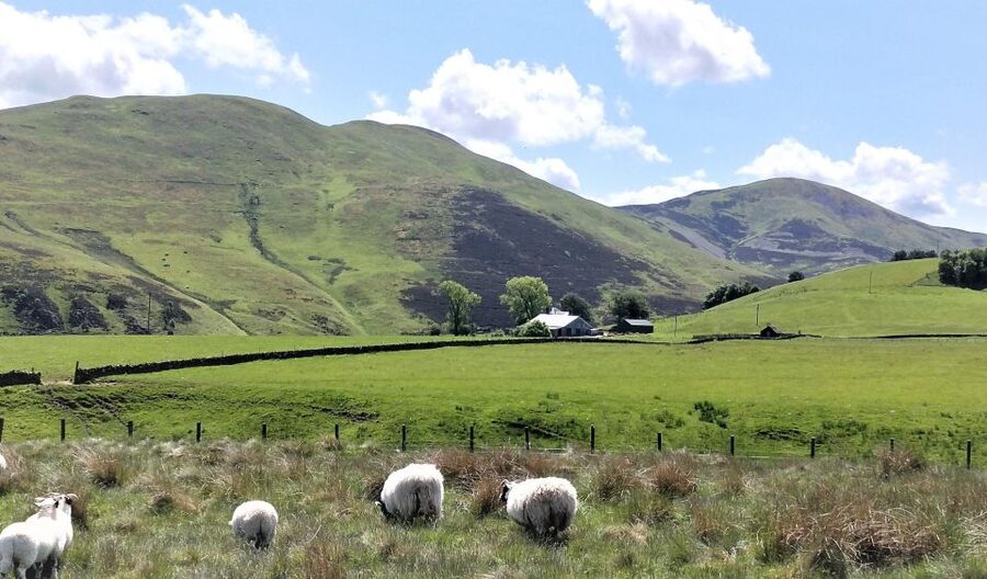 Edinburgh: Hill & Nature Hike With a Local - The bus ticket adds real value