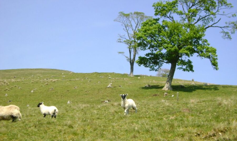 Edinburgh: Hill & Nature Hike With a Local - Who should book this half-day hike