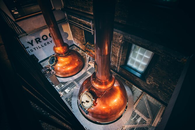 Edinburgh: Holyrood Distillery Whisky and Gin Tour & Tasting - Who will enjoy this most?