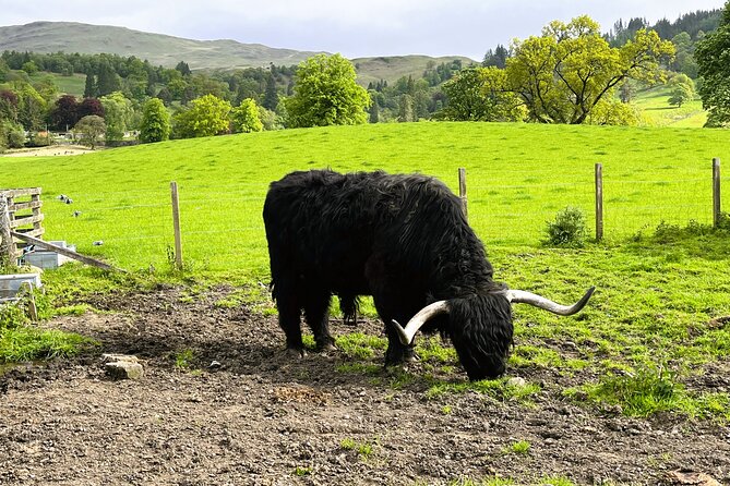 Edinburgh: Loch Ness, Glencoe & The Highlands - Fort William brings lunch and Ben Nevis views