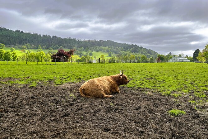Edinburgh: Loch Ness, Glencoe & The Highlands - Fort Augustus gives you the biggest choice