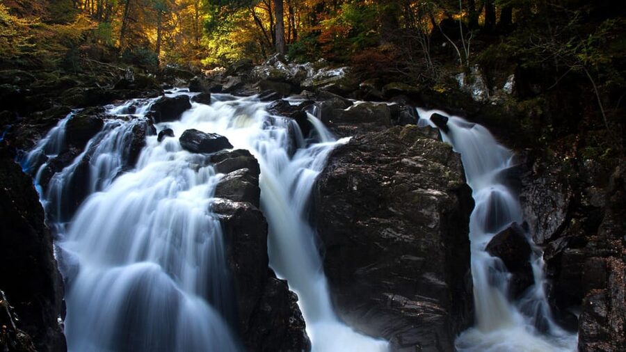 Edinburgh: Loch Ness, Scenic Walk, Glencoe & Whisky Day Tour - Highland cows, with seasonal conditions