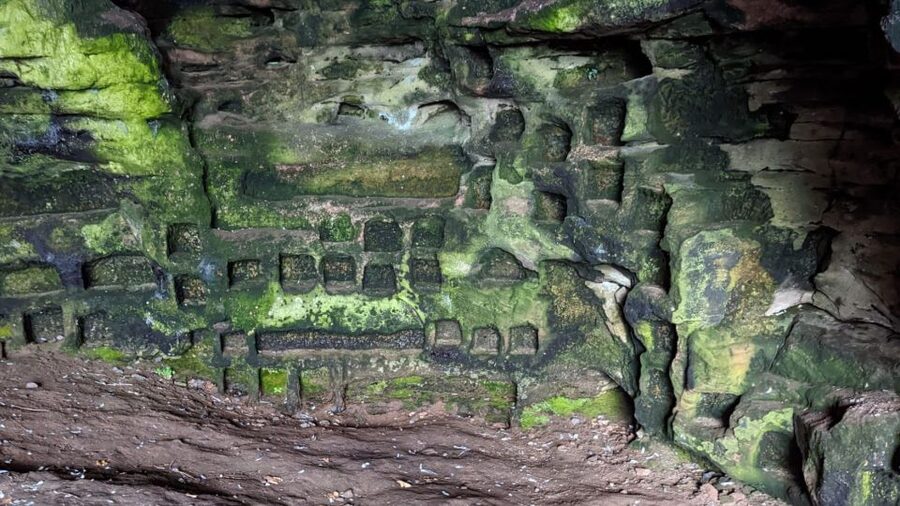Edinburgh: St Andrews, Dunfermline Abbey and Fife Coast Tour - Timing, walking, and extra costs