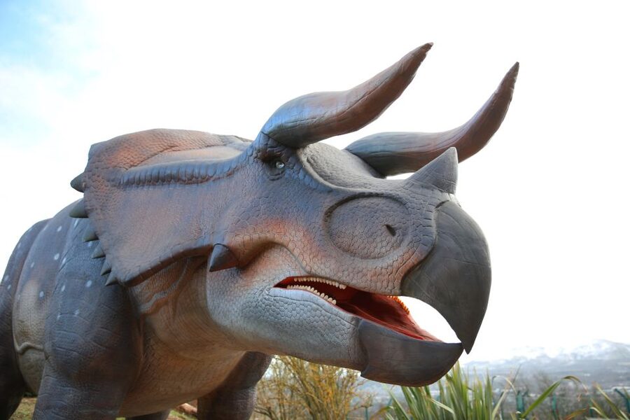 Edinburgh Zoo Entrance Ticket - How long should you allow?