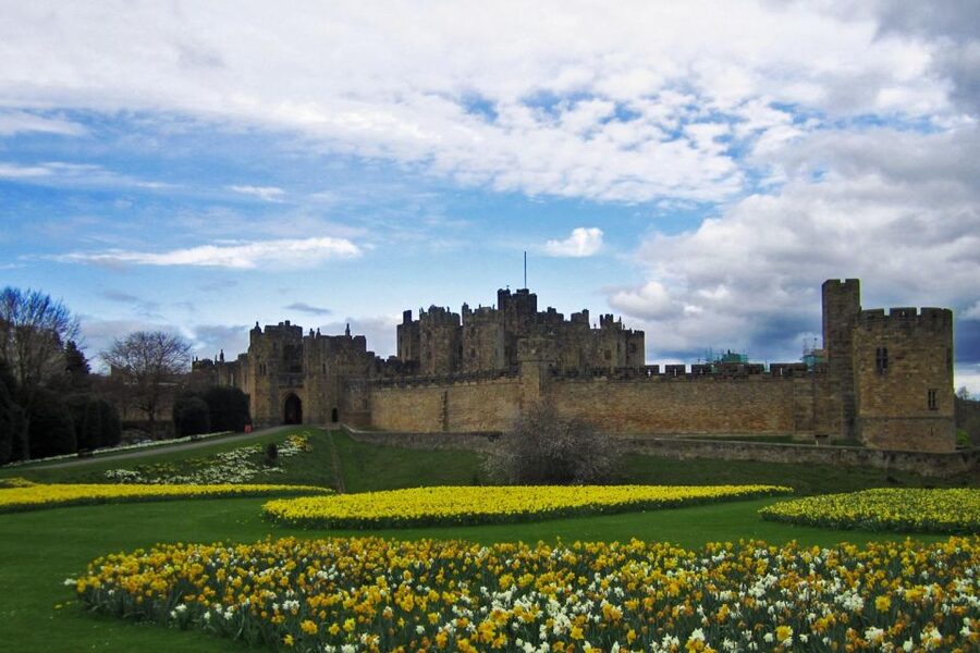 From Edinburg: Viking Coast & Alnwick Castle Day Tour - Guide quality and group atmosphere