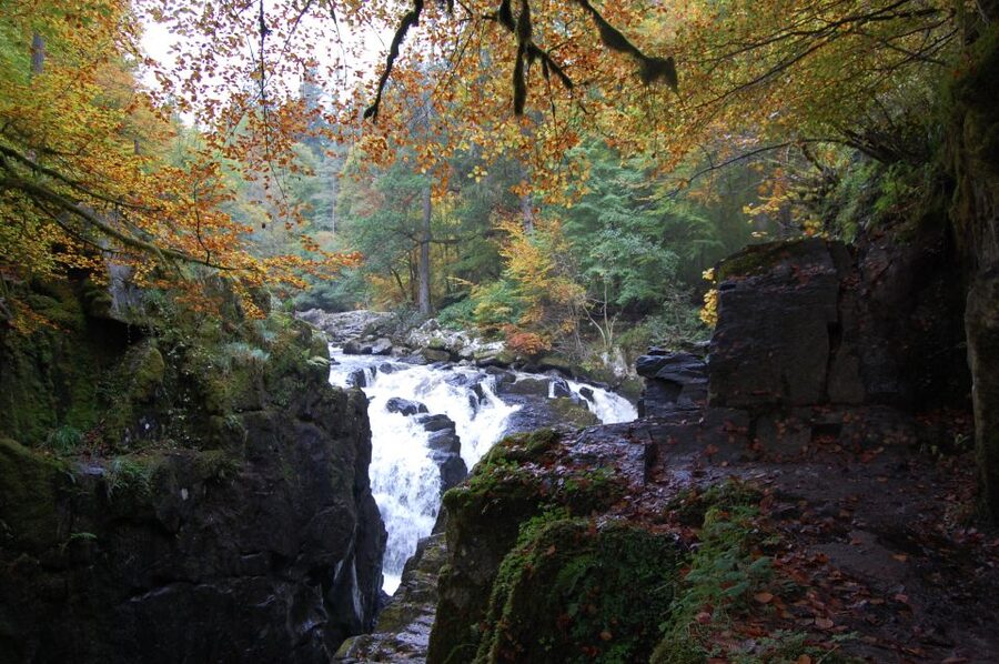From Edinburgh: 2-Day Highlands Tour with Hogwarts Express - The guide can make or break the bus portions