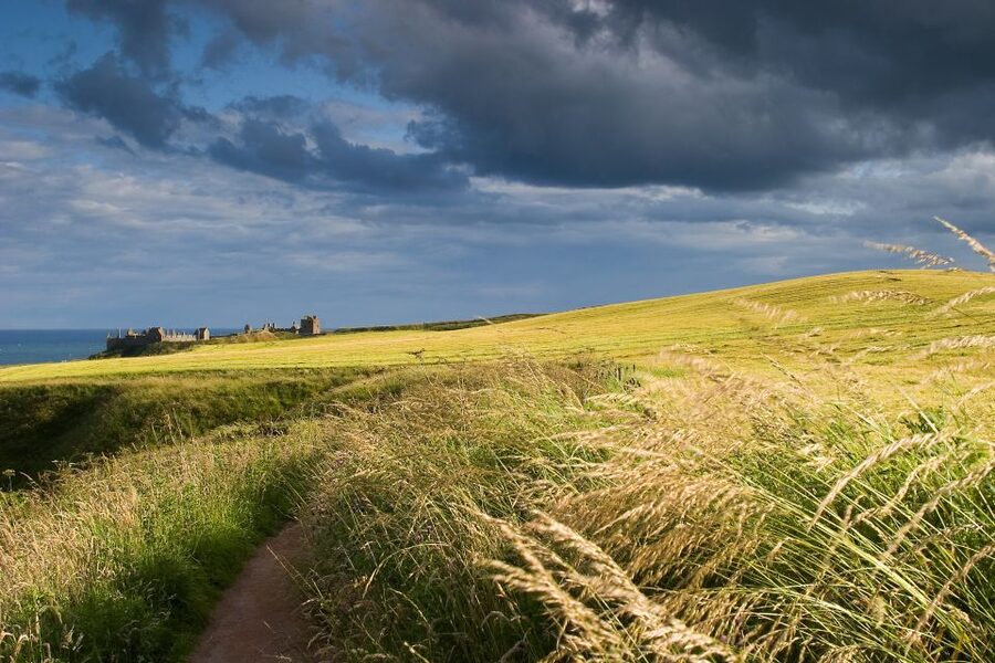 From Edinburgh: Glamis and Dunnottar Castles Tour in Italian - Glamis Castle trades cliffs for royal rooms