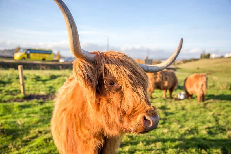 From Edinburgh: Isle of Skye & Highlands 3-Day Guided Tour - Who should book this Highlands trip?