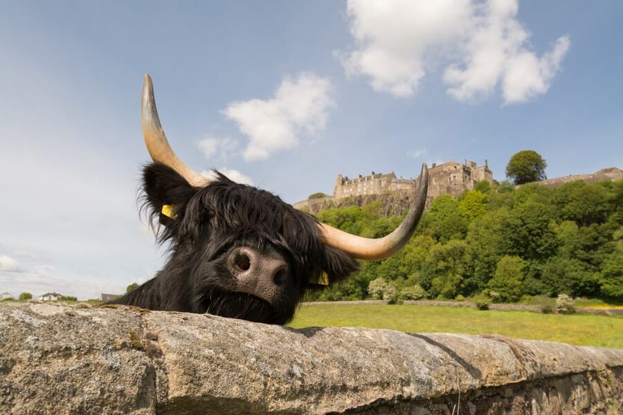 From Edinburgh: Loch Lomond, Stirling Castle & Kelpies Tour - Is $61 a fair price?