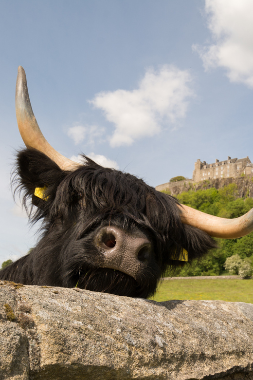 From Edinburgh: Loch Lomond, Stirling Castle & Kelpies Tour - Balloch and Loch Lomond’s southern shore