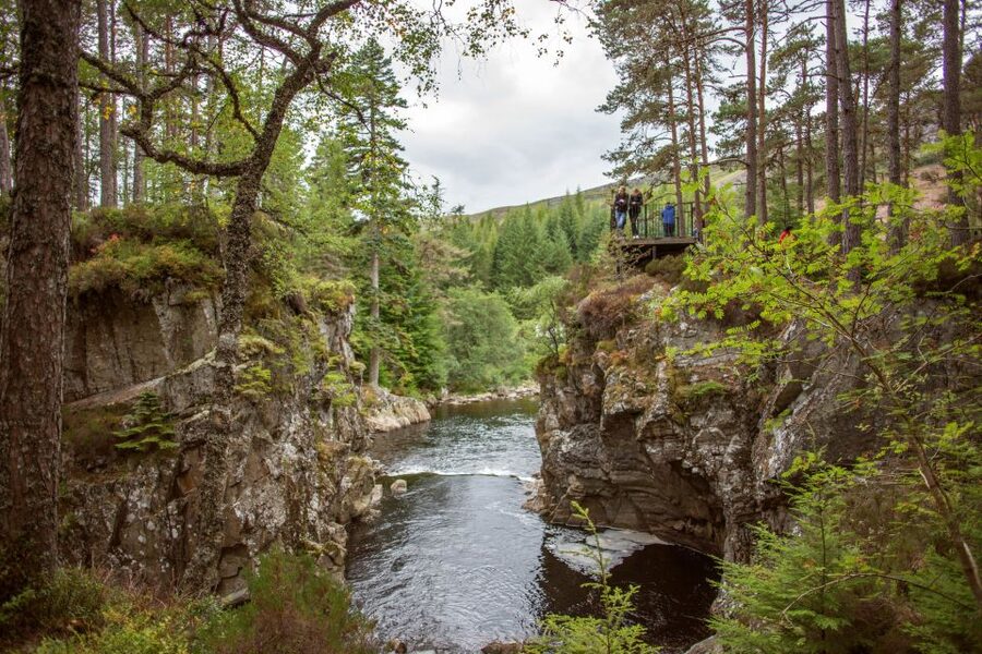 From Edinburgh: Loch Ness and Scottish Highlands Day Tour - Lunch, Loch Ness, and the optional cruise