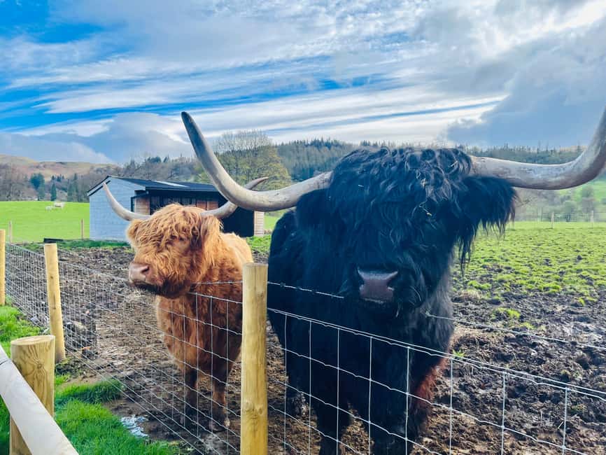 From Edinburgh: Loch Ness, Glencoe & The Highlands Day Trip - What this one-day Highland route is really trying to do