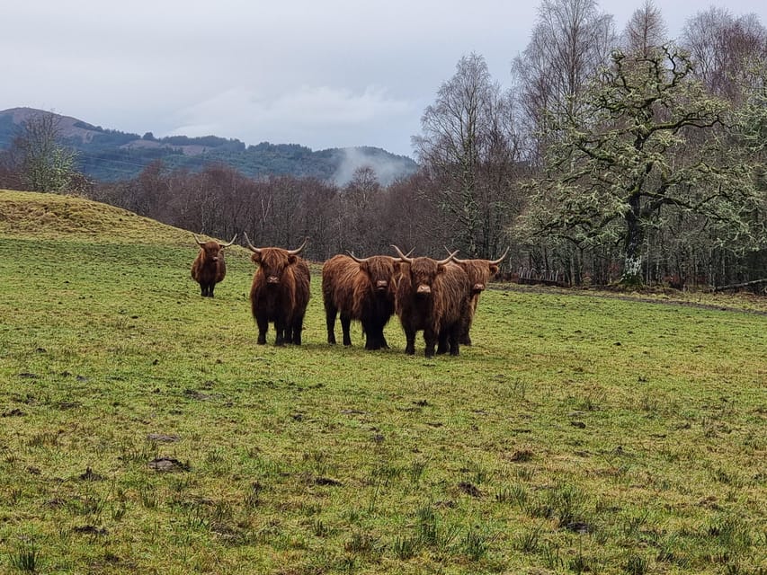 From Edinburgh: Loch Ness Private Day Tour with Transfers - Loch Lubnaig: your first proper Highland pause