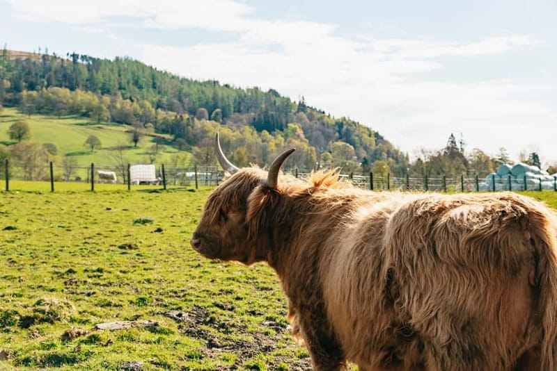 From Edinburgh: Loch Ness & Scottish Highlands Tour - Pitlochry and the Forth Bridges