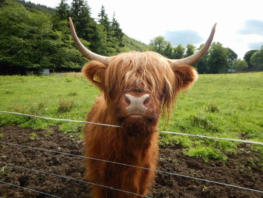 From Edinburgh: Scottish Highlands & Isle of Skye 5-Day Tour - Day 4: Eilean Donan, Fort Augustus, and Loch Ness