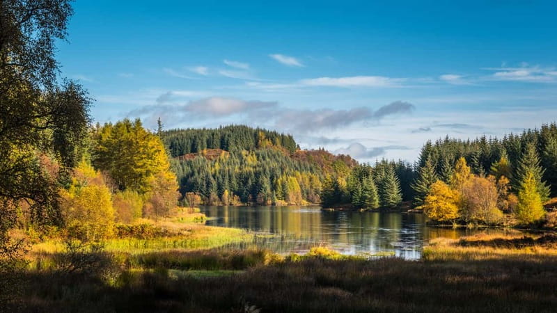 From Edinburgh: Stirling Castle, Kelpies and Loch Lomond - Who gets the best value from this day trip