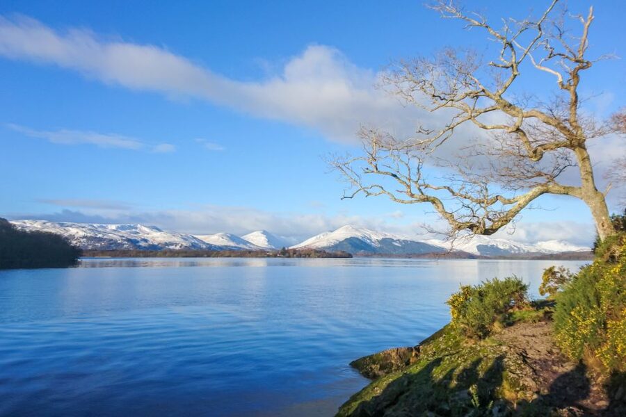 From Edinburgh: Stirling Castle, Loch Lomond & Whisky Tour - Who will get the most from this tour