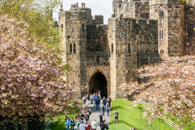 Harry Potter's Alnwick Castle and Scottish Borders Day Trip - Alnwick Castle, Hogwarts, and two and a half hours to explore