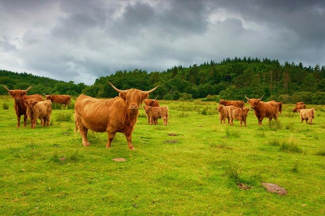 Highlights of Scotland Custom Private Tour from Edinburgh - Callander and lunch at Roman Camp