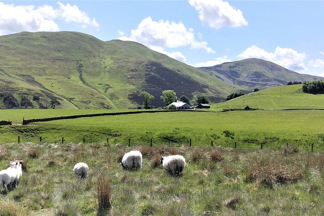 Hill & Nature Hike - Discover Real Edinburgh With a Local Expert - Downhill paths, reservoirs, and Scottish wildlife