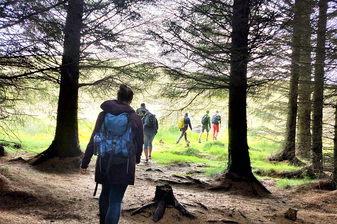Hill & Nature Hike - Discover Real Edinburgh With a Local Expert - Who should book this hike?