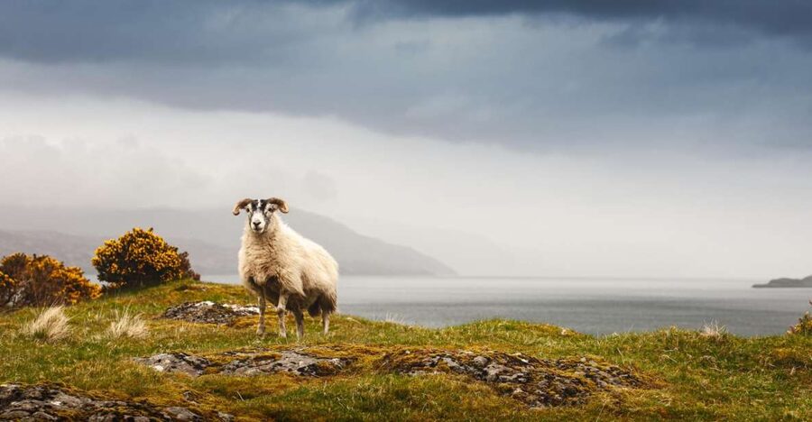 Iona, Mull, and Isle of Skye: 5-Day Tour from Edinburgh - Day 3: Glencoe, Ben Nevis, and Eilean Donan