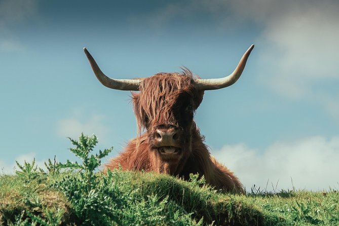 Loch Ness, Glen Coe & The Highlands Day Tour from Edinburgh - The Trossachs turn the road into part of the tour
