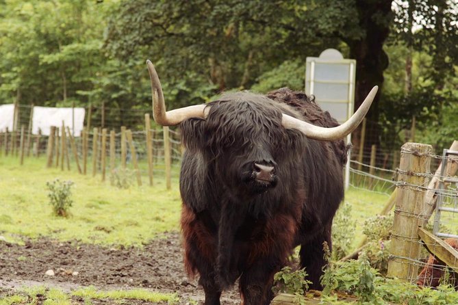 Loch Ness, Glencoe and The Scottish Highlands Tour from Edinburgh - The long return to Edinburgh