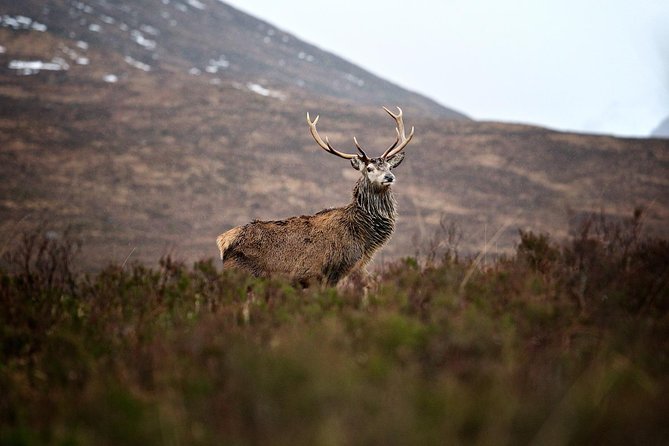 Private Glencoe Driving Tour from Edinburgh - Loch Tulla and the changing Highland views