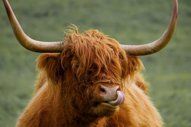 Private Luxury Mini Highlands Tour From Edinburgh - Braveheart - Stirling Castle deserves your longest castle visit