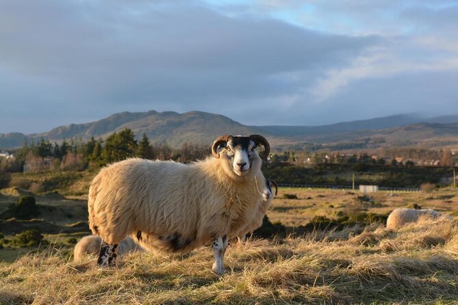 Private Luxury Tour of Loch Lomond, Glencoe & The Highlands - The Forth Bridges and Falkirk’s giant Kelpies