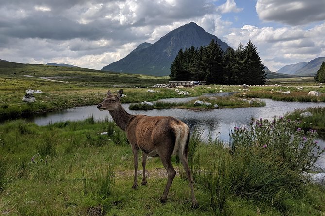 Private One Day Highlands Tour of Scotland - Lunch, whisky, and the value of a private vehicle