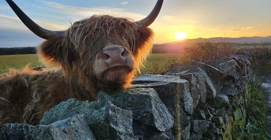 Private Tour of Highlands, Lochs & Castles from Edinburgh - The Rest and Be Thankful pass