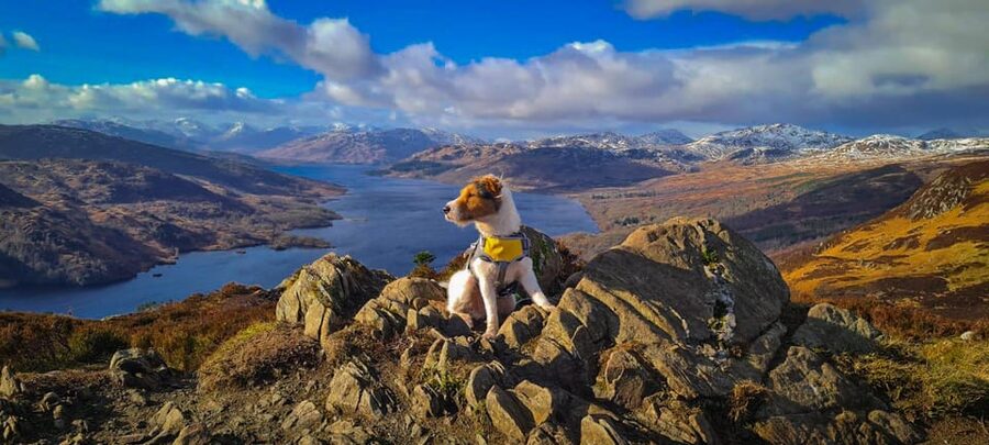 Private Tour of Highlands, Lochs & Castles from Edinburgh - Inveraray Castle and the Campbell connection