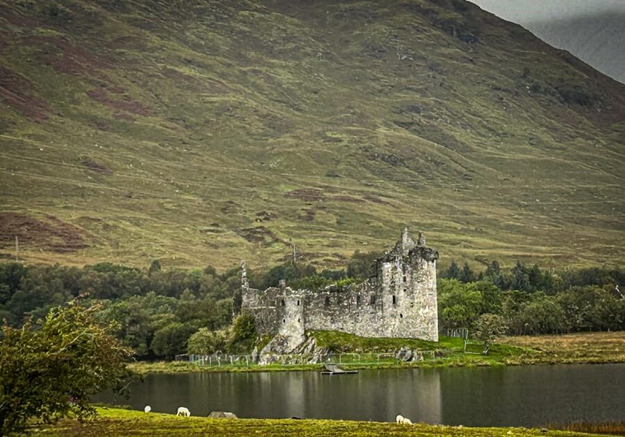 Private Tour of Highlands, Lochs & Castles from Edinburgh - Craigies Farm and the Highland cows