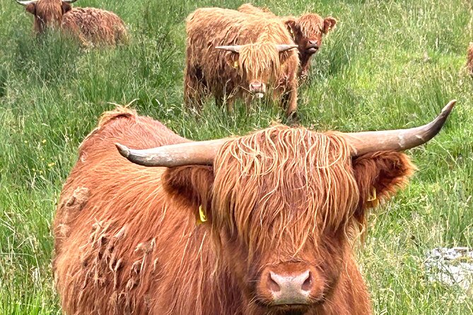 Private Tour of Loch Ness, Glencoe and Highlands from Edinburgh - Fort Augustus and two hours beside Loch Ness