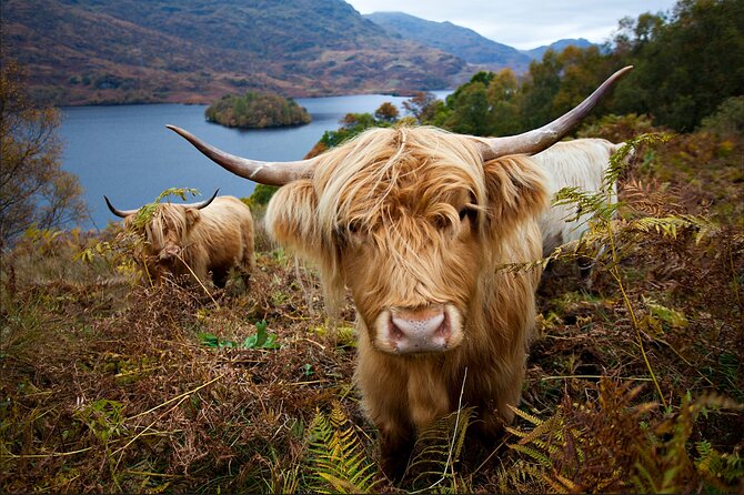 Private Tour of Loch Ness, Glencoe and Highlands from Edinburgh - Crossing the Forth and stopping in Pitlochry