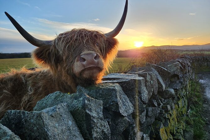 Private Tour of the Scottish Highlands from Edinburgh - Why this private day works from Edinburgh