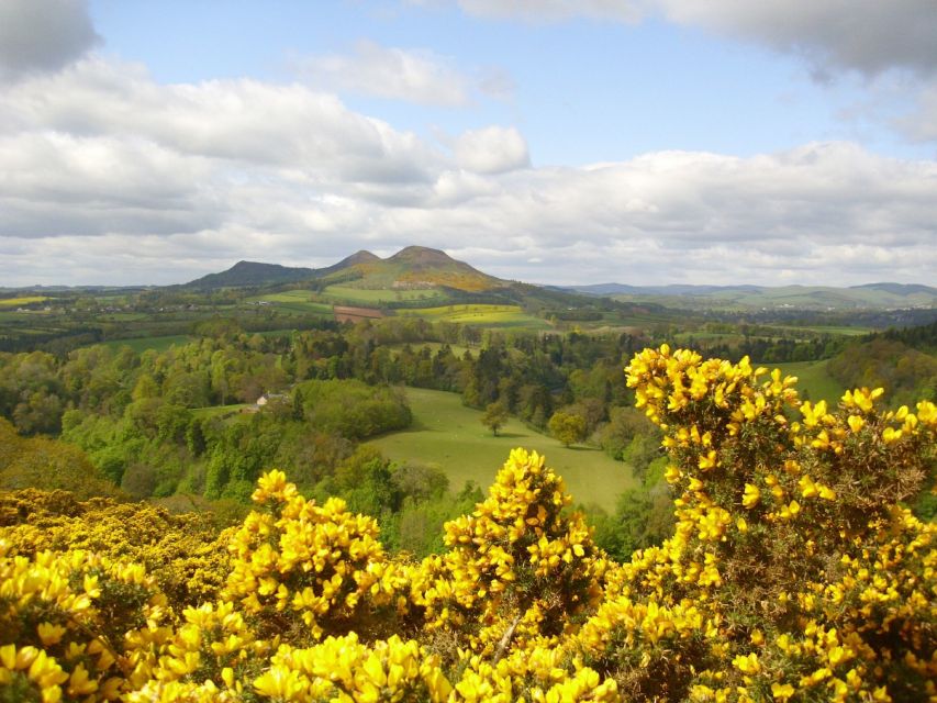 Rosslyn Chapel & Scottish Borders Tour from Edinburgh - Who should book this tour?