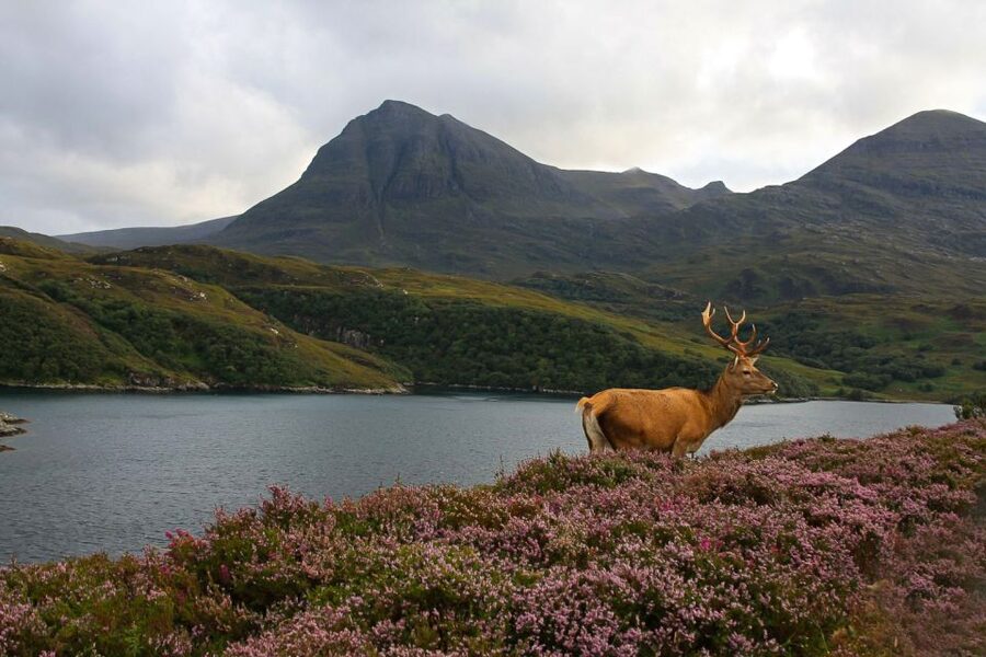 Scotland: Orkney and Northern Coast 5-Day Tour - Day 1: Stirling, Doune, Glencoe country, and Loch Ness
