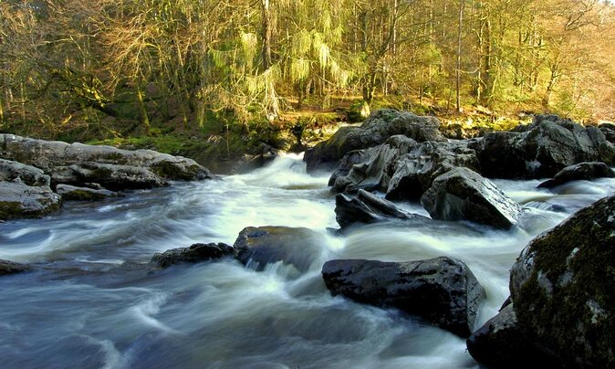 Scotland's Glens, Highlands & Whisky Day Trip from Edinburgh - Through lochs, glens, and Highland cattle